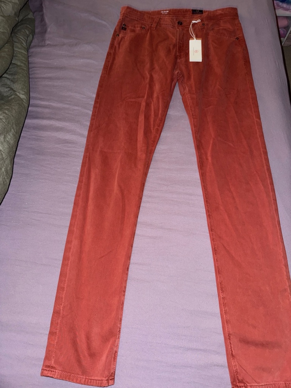 AG Adriano Goldschmied The Dylan Slim Skinny Sueded Stretch Sateen 31x34